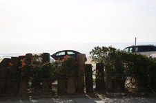 Enlarge photo 66