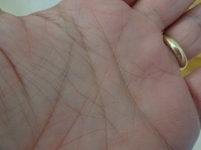 Enlarge photo 27