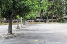 Enlarge photo 221