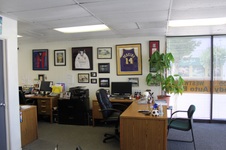 Enlarge photo 179