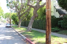 Enlarge photo 162