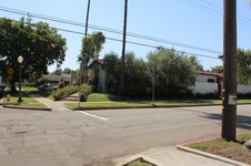Enlarge photo 135