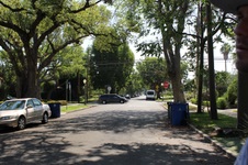 Enlarge photo 129