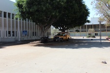 Enlarge photo 121