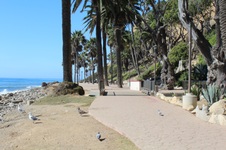 Enlarge photo 47