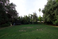 Enlarge photo 76