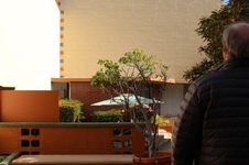 Enlarge photo 21