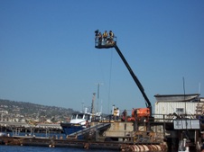 Enlarge photo 14