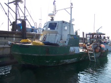 Enlarge photo 21
