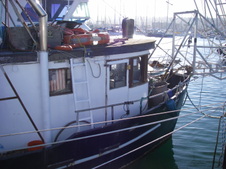 Enlarge photo 41