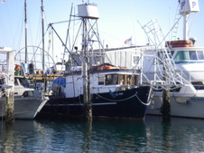 Enlarge photo 42