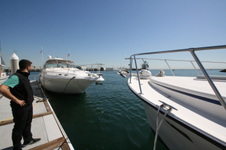Enlarge photo 43