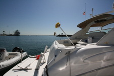 Enlarge photo 47