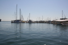 Enlarge photo 53