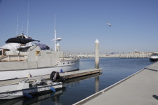 Enlarge photo 6