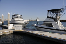 Enlarge photo 30