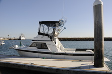 Enlarge photo 31