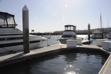 Enlarge photo 34