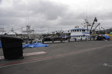 Ports O Call