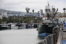 Enlarge photo 14