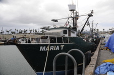 Enlarge photo 16