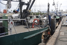 Enlarge photo 18