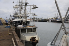Enlarge photo 25