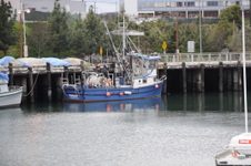 Enlarge photo 26