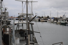 Enlarge photo 29