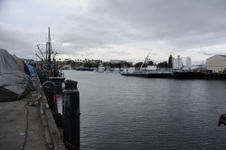 Enlarge photo 31