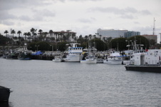 Enlarge photo 32