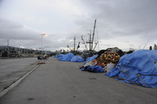 Enlarge photo 33