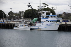 Enlarge photo 37