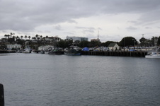 Enlarge photo 38
