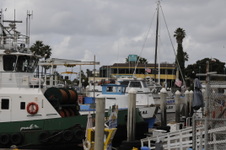 Enlarge photo 13