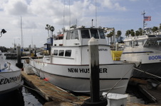 Enlarge photo 31