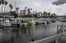 Enlarge photo 33