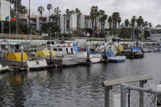 Enlarge photo 34