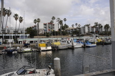 Enlarge photo 35