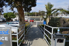 Enlarge photo 38