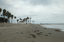 Enlarge photo 17