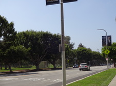 Driving Grids
