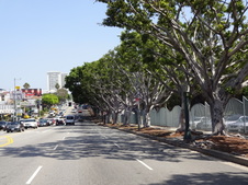 Enlarge photo 57