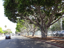 Enlarge photo 59