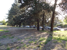 Enlarge photo 19