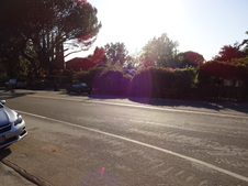 Enlarge photo 25