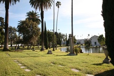 Enlarge photo 3