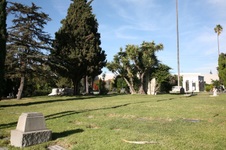 Enlarge photo 13