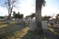 Enlarge photo 16