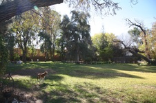 Enlarge photo 10